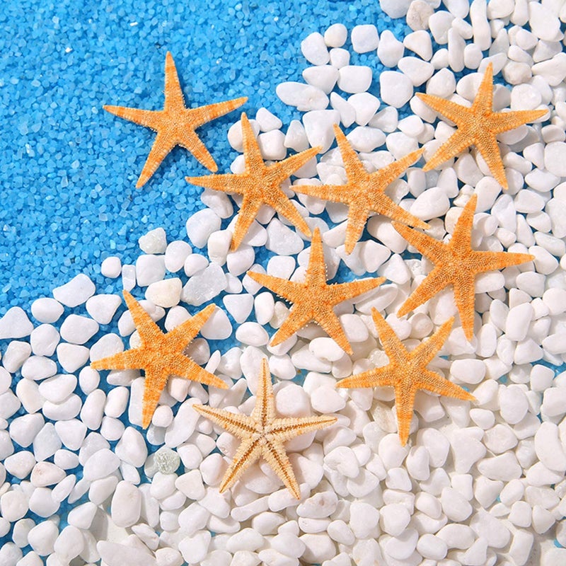 LGEGE 12 Extra Large Size Starfish - Tan Flat Sea Stars (3.3" - 4.3" / 85-110 mm), Beach Crafts, Wedding Invitations - Image 3